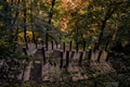 Stairway in the Woods - Autumn Colors on the Hills of Bled, Slovenia Royalty Free Stock Photo