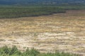 Bledow Desert, an area of sands between Bledow and the village of Chechlo and Klucze in Poland. Royalty Free Stock Photo