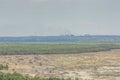 Bledow Desert, an area of sands between Bledow and the village of Chechlo and Klucze in Poland. Royalty Free Stock Photo