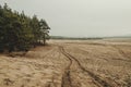 Bledow desert pustynia bledowska biggest sand desert in Poland