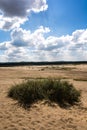 Bledowska Desert (Poland)