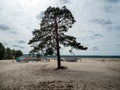 Bledowska desert, viewpoint in Dobrowka, Chechlo, Poland