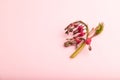 Bleeding heart, dicentra flowers on pink pastel background. side view, copy space Royalty Free Stock Photo