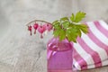 Bleeding Heart Flower Still Life Royalty Free Stock Photo