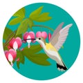 Bleeding heart flowers and hummingbird isolated realistic vector illustration Royalty Free Stock Photo