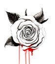 Bleeding rose