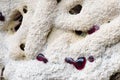 Bleeding tooth fungus.