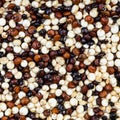 Blend of quinoa grains close up Royalty Free Stock Photo