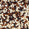 Blend of quinoa grains close up