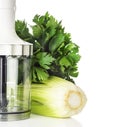 Blender, stems and leaves of celery for green smoothies