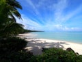 Aitutaki Cook Islands Palm Beach Royalty Free Stock Photo