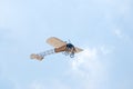 Bleriot XI airplane Royalty Free Stock Photo