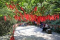 The blessing red cloth hanging on tree on sanqingshan mountain, adobe rgb Royalty Free Stock Photo