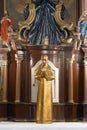 Blessed Aloysius Stepinac, statue on the altar of Saint Isidore in the church in the Church of St. Clare of Assisi in Zagreb