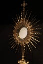 The Blessed Sacrament in a monstrance