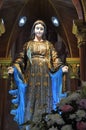 Blessed Virgin Mary2