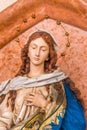 The Blessed Virgin Mary Royalty Free Stock Photo