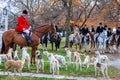 Blessing of the hounds