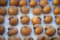 Bletting medlar fruit Royalty Free Stock Photo