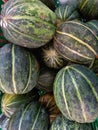 Blewah or cucumis melo, harvested in central java, indonesia