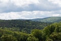 Spessart forest in summer