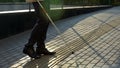 Blind male finding tactile paving with white cane, safely walking alone outdoors