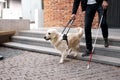 Blind man with disability walking down the stairs with a guide dog