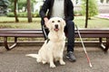 Blind man stroke his helpful dog guide Royalty Free Stock Photo