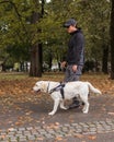 Blind man walking with a guide dog assistance through the autumn park