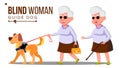 Blind Old Woman With Dark Glasses, Cane In Hand And Guide Dog Vector. Isolated Cartoon Illustration Royalty Free Stock Photo