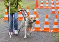 Blind person with her guide dog Royalty Free Stock Photo