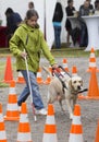 Blind person with her guide dog