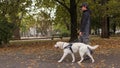 Blind woman taking a walk in a city park with her trained guide dog Royalty Free Stock Photo