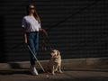 Blind woman walking guide dog outdoors. Royalty Free Stock Photo