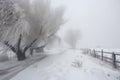 blinding blizzard with heavy snowfall and wind, covering everything in white
