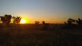 Blinding sunset in the fields