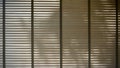 Blinds, Evening sun light outside window blinds, sunshine and shadow on window blind, decorative interior in home Royalty Free Stock Photo