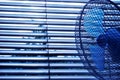 Blinds and fan is an effective protective device against the summer heat. The slats of the blinds to turn and regulate the light