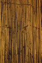 Blinds woven with reeds Royalty Free Stock Photo