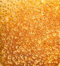 Blini - pancakes - russian National Dish macro shot background