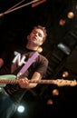 Blink 182 Mark Hoppus during the concert Royalty Free Stock Photo