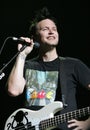 Blink 182 performs in concert Royalty Free Stock Photo