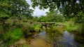 Ancient cart track and clapper bridge over the De Lank river on Bodmin Moor, Cornwall, UK