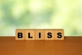 BLISS message word on a wooden desk on cube blocks with a green nature Royalty Free Stock Photo