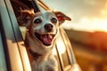 Blissful Barkmobile Journey: Dog\'s Pure Ecstasy.