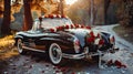 Blissful Getaway: Newlyweds Escape in a Classic Wedding Car Royalty Free Stock Photo
