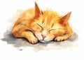 Blissful Slumber: A Delightful Kitten Rests on a Sunny Surface i