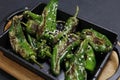 blistered padron chili peppers, bar, pub bite food in close up with black background