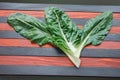 Blitva chard leaves - popular leafy vegetables in Balkan cuisine Royalty Free Stock Photo