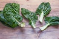 Blitva  chard leaves  - popular leafy vegetables in Balkan cuisine. Rustic background, copy space Royalty Free Stock Photo